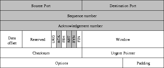 \begin{figure}
 \begin{center}
 \leavevmode \epsfxsize=\linewidth \epsffile{TCP-Header.eps}
 \end{center} \end{figure}